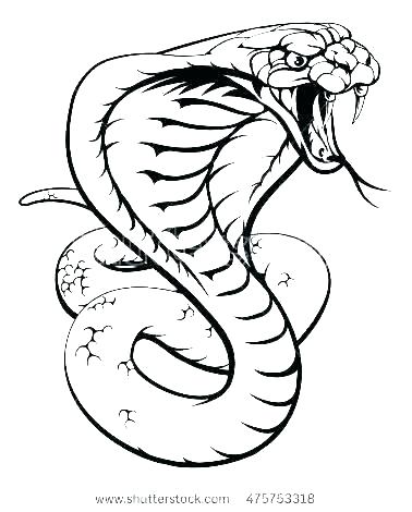 Scary Snake Drawing | Free download on ClipArtMag