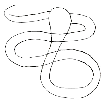 350x338 Scary Snake Drawing