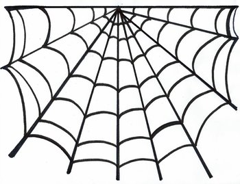 350x269 Scary Spider Web
