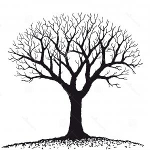 300x300 Halloween Creepy Scary Bare Tree Vector Symbol Icon Design Gm
