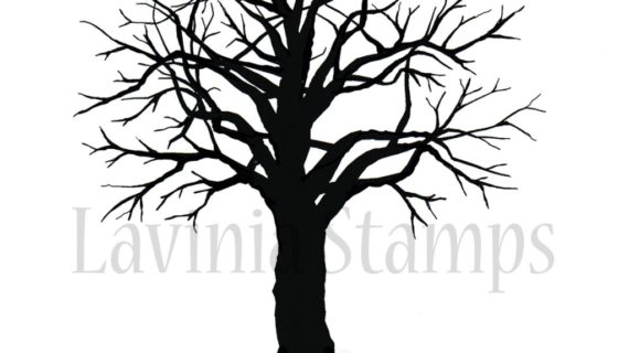 570x320 Pencil Drawings Of Scary Trees