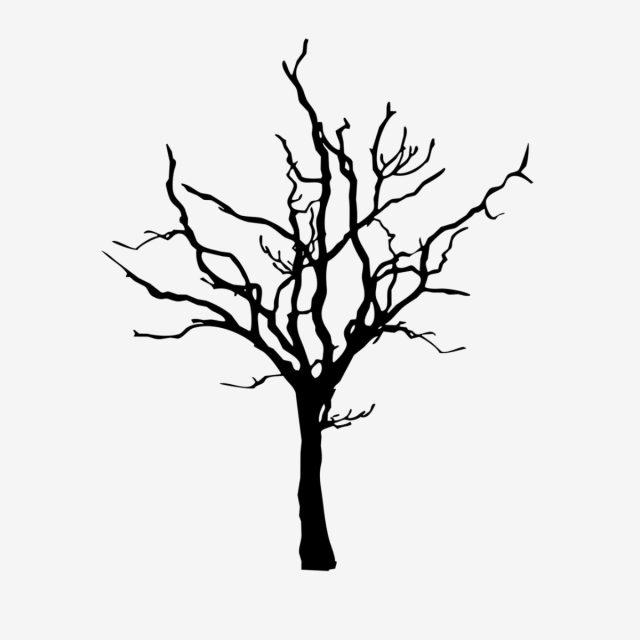 640x640 Scary Tree Png, Vectors, And Clipart For Free Download