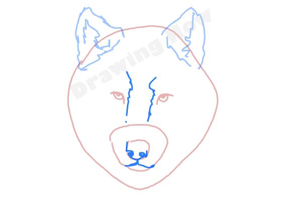 600x400 How To Draw A Wolf Face