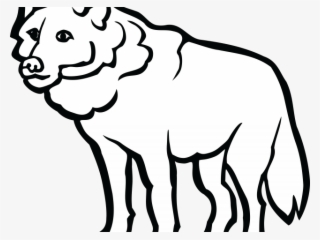 320x240 White Wolf Png, Transparent White Wolf Png Image Free Download