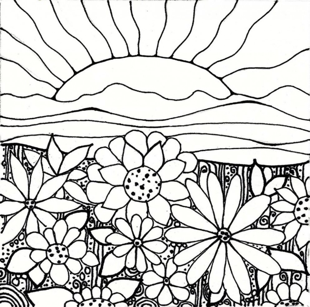 993x983 Images Of Flower Garden Drawing