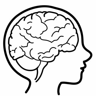 336x336 Brain Drawing With Color Png Easy Ideas Human For Scenery Carmi