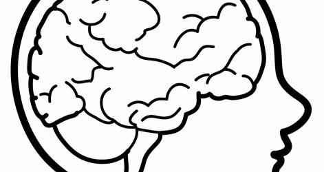 471x250 Brain Drawing With Color Png Easy Ideas Human For Scenery Carmi