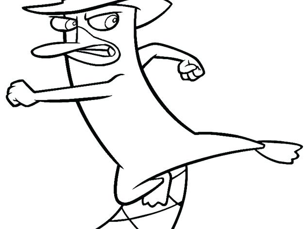 628x472 perry the platypus drawing image titled draw the platypus step