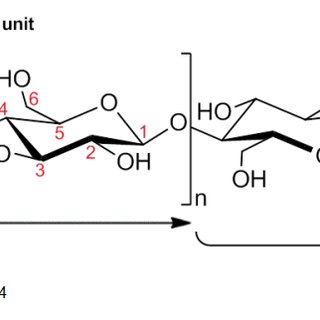 320x320 schematic drawing of the intra and intermolecular hydrogen bonding