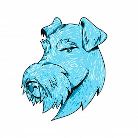 275x275 Drawing Of A Dog Photos And Images