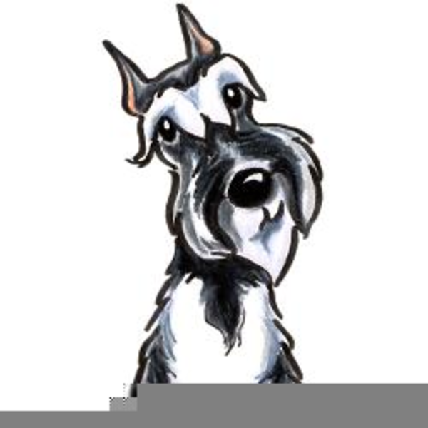 600x600 Free Miniature Schnauzer Cartoon Clipart Free Images