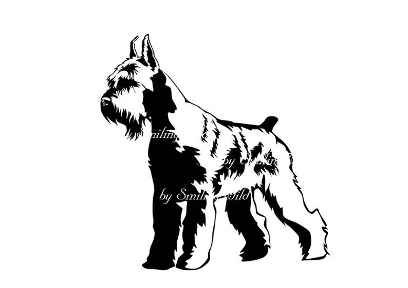 794x562 Giant Schnauzer Clipart Vector Graphic Art Dog Face Etsy