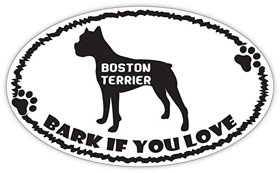 569x352 Miniature Schnauzer With Tail