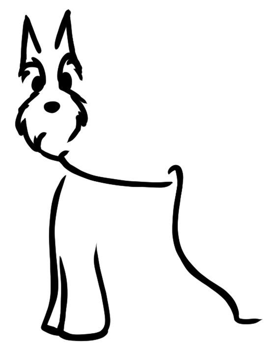 570x715 Schnauzer Drawing Minimalist For Free Download