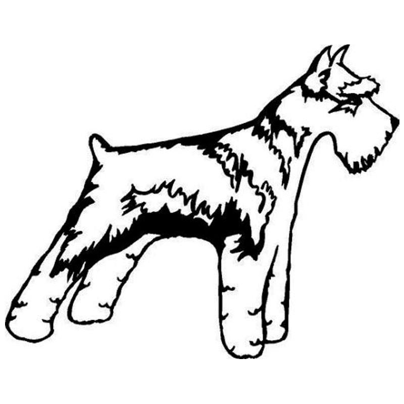 800x800 Schnauzer Decal Personality Plus Luvmyschnauzer