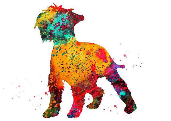 600x424 Schnauzers Art