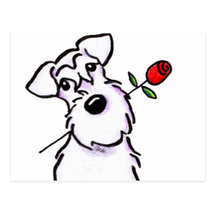 307x307 White Schnauzer Drawing Gifts On Zazzle Au