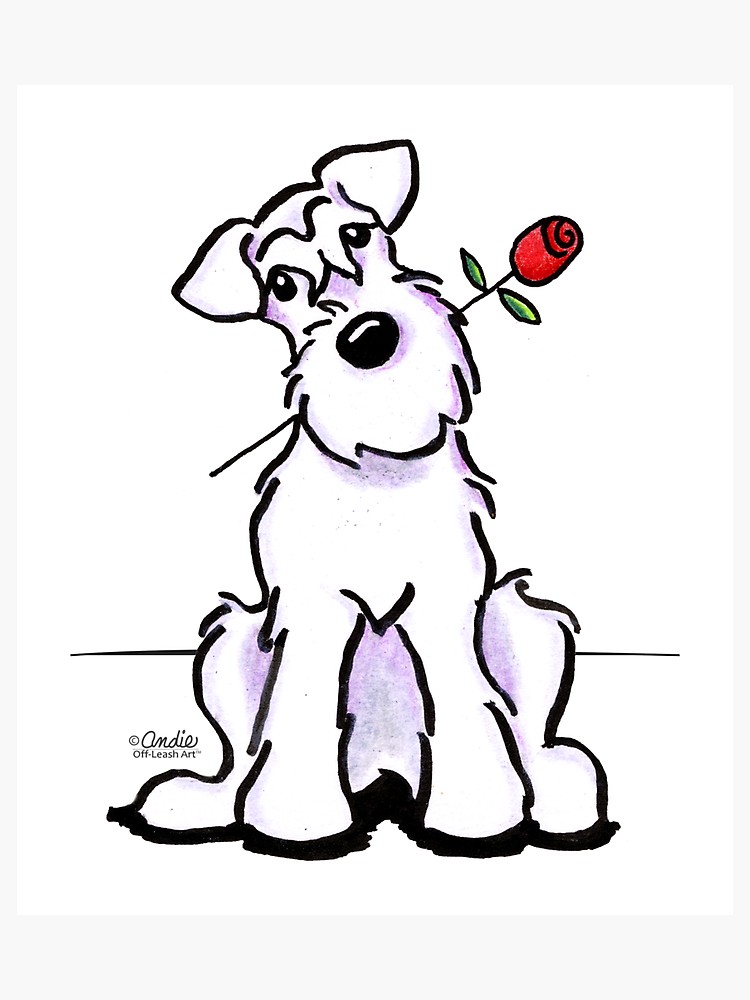 750x1000 White Schnauzer Sweetheart Photographic Print