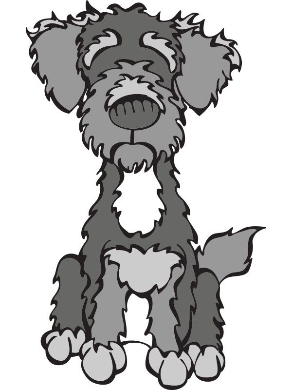 600x800 Schnauzer Drawing Schnoodle For Free Download