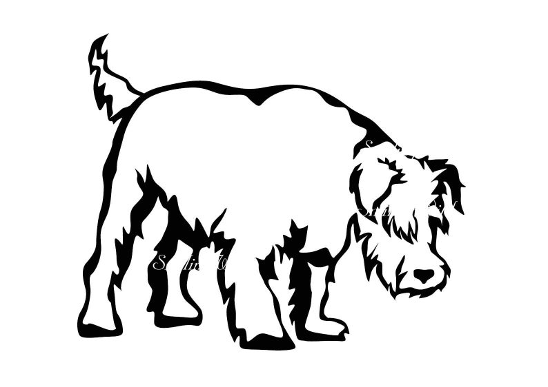 794x562 miniature schnauzer jumping dog clipart mini schnauzer png etsy