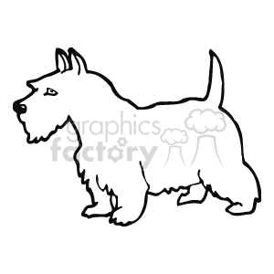 300x300 Schnauzer Outline Clipart Royalty Free Clipart