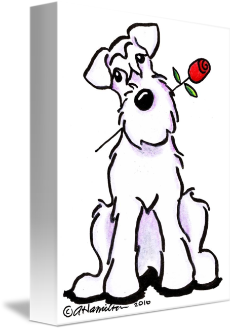 458x650 White Schnauzer Sweetheart