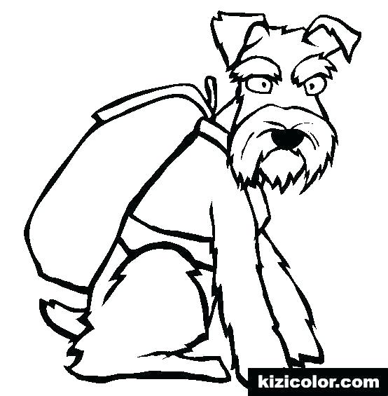 554x565 Beautiful Poodle Coloring Pages French Betterfor