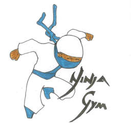 256x246 Ninja Gym