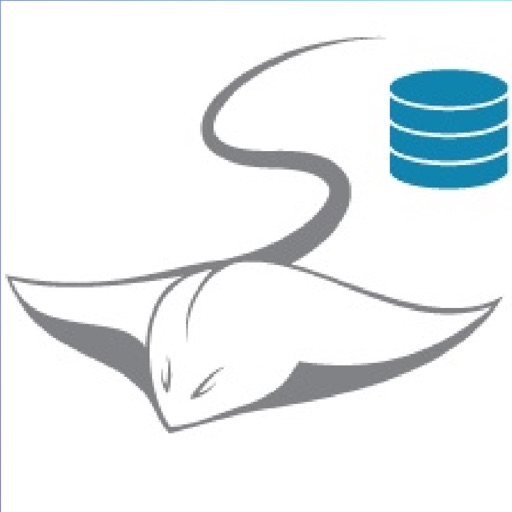 512x512 arnold gym management