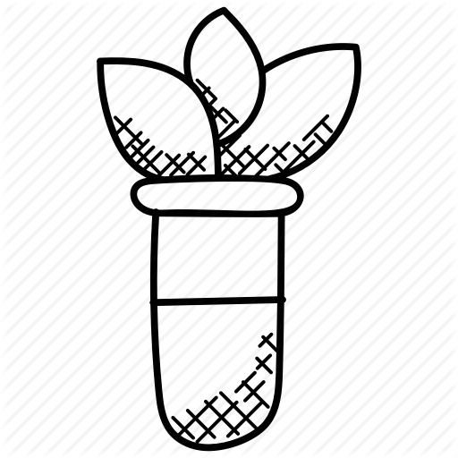 512x512 Botany Experiment, Ecolab, Ecological Concept, Organic Chemistry