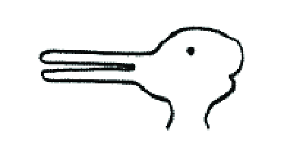 425x218 Jastrow's Drawing Download Scientific Diagram