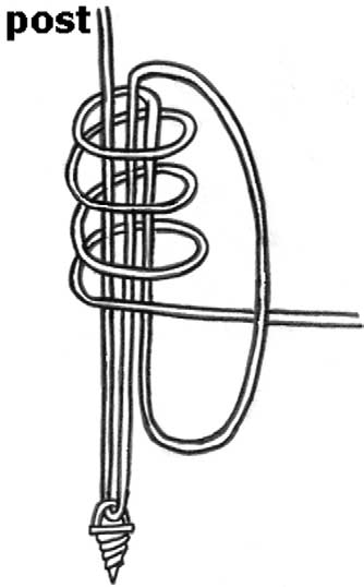 334x538 A Drawing Of The Triad Knot Download Scientific Diagram