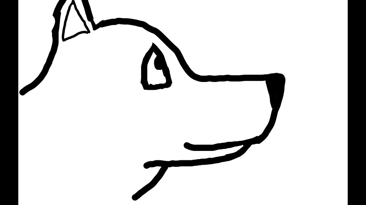 1280x720 Dog Show How To Use The Scientific Method