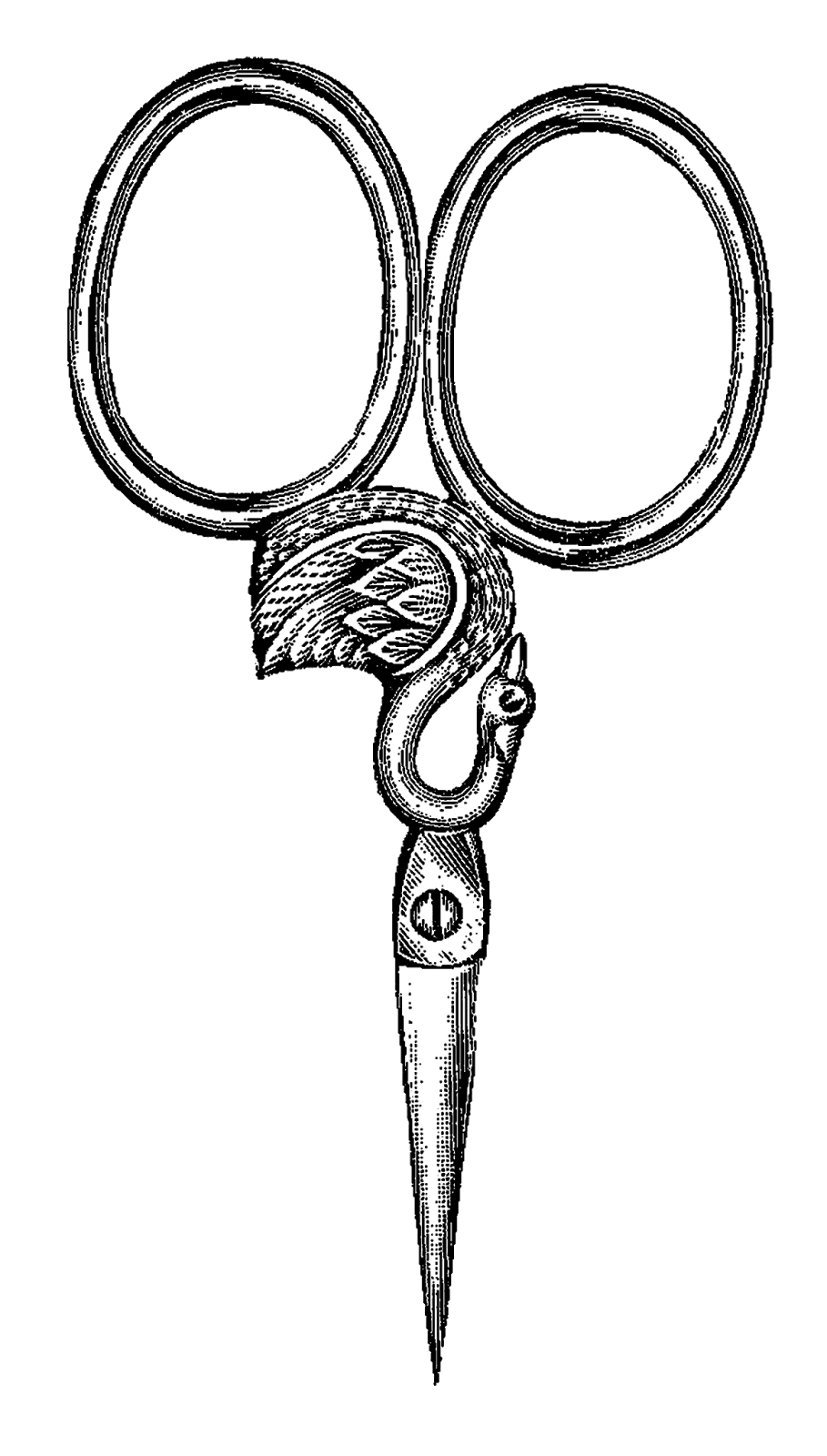 909x1600 Shears Clipart Drawn For Free Download And Use In Presentations