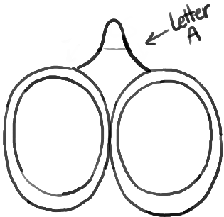 315x306 How To Draw Scissors With Easy Step