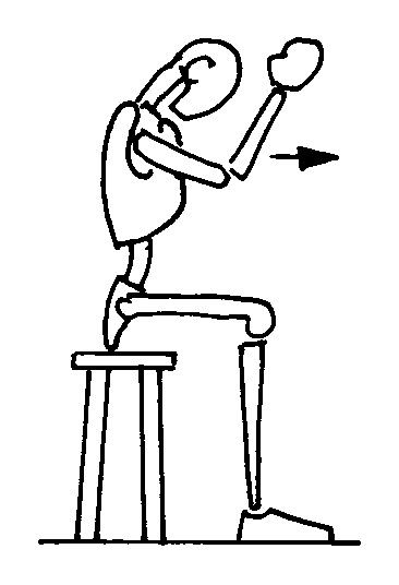 366x536 Forces Exerted During Exercises