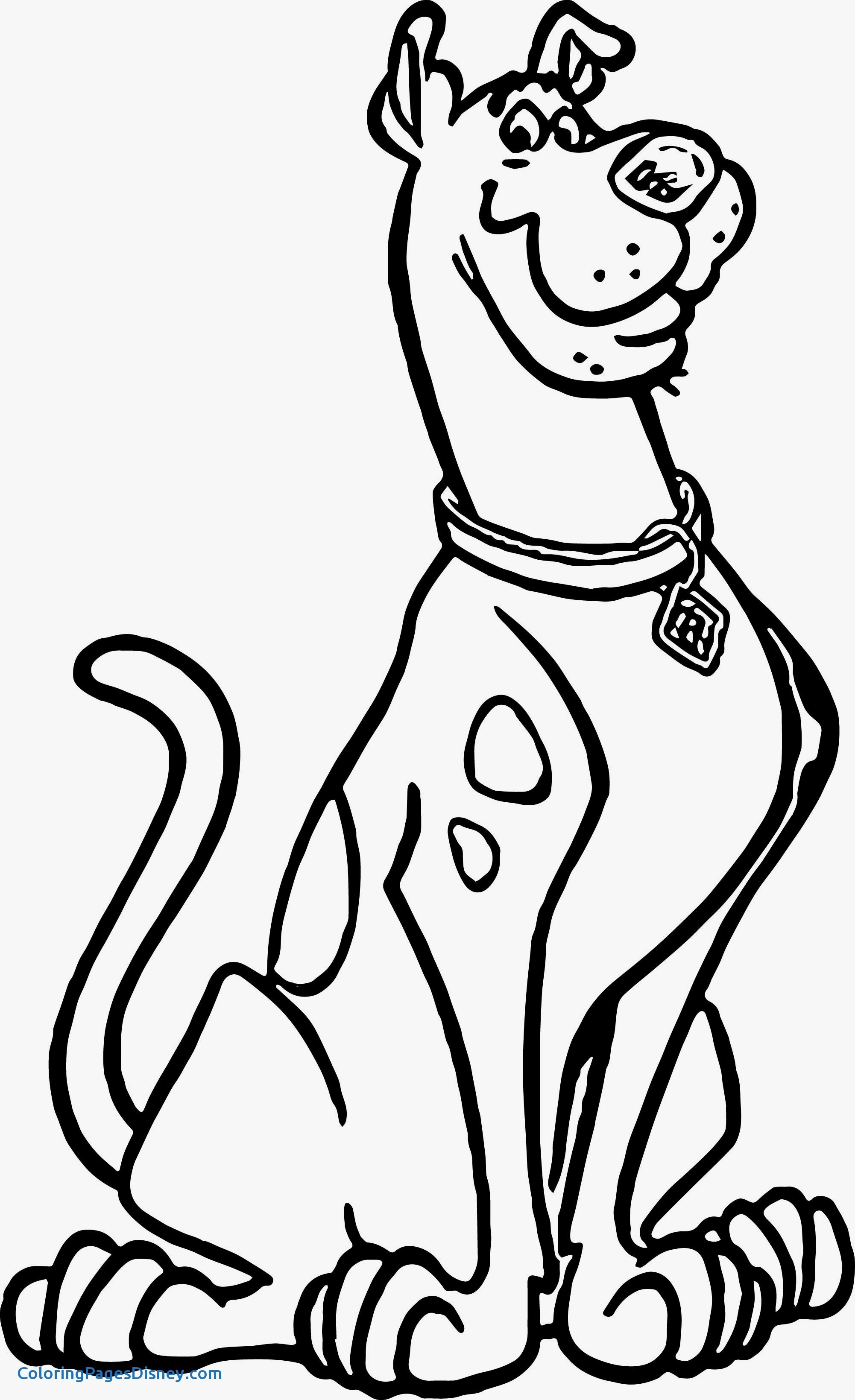 Scooby Doo Drawing
