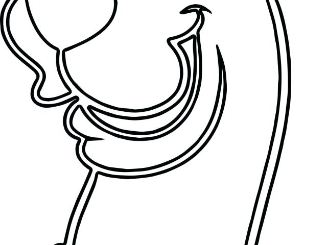 640x480 Christmas Scooby Doo Coloring Pages Hoteles