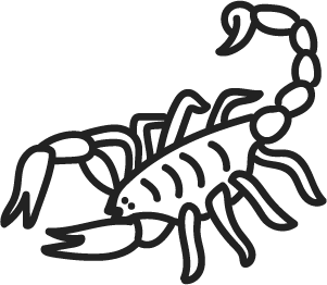 301x262 Drawing Scorpions Transparent Png Clipart Free Download