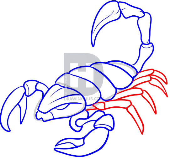 542x508 How To Draw Scorpions, Step