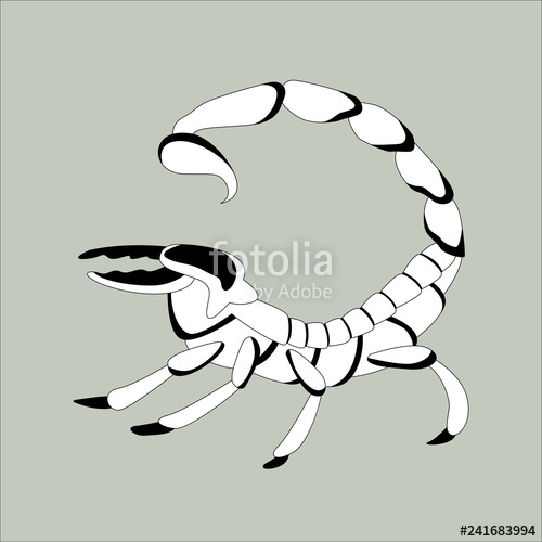 500x500 Scorpio Vector Illustrationlining Draw, Profile Stock Image