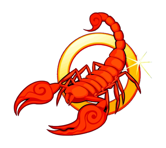 563x501 Scorpio Drawing