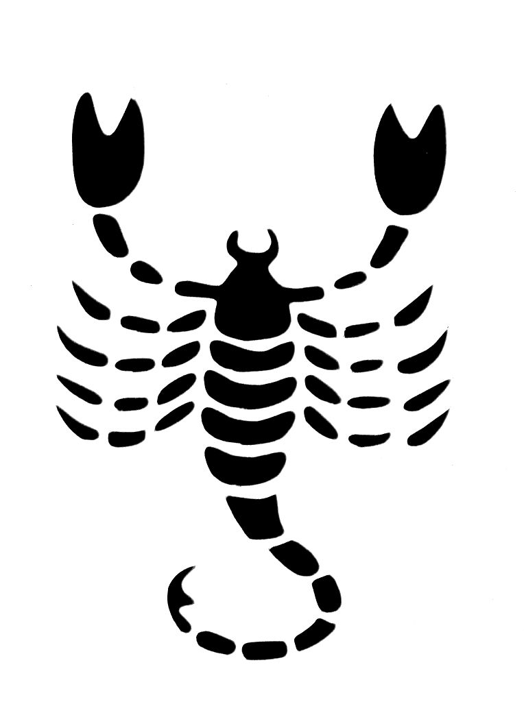 764x1024 Scorpion Drawing Zodiac For Free Download