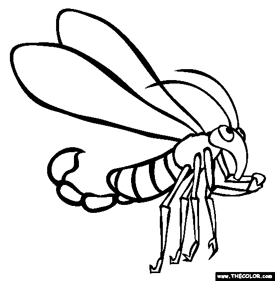 Scorpion Cartoon Drawing