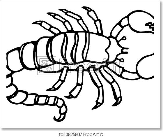 560x470 Free Art Print Of Scorpion Line Drawing Simple Black And White