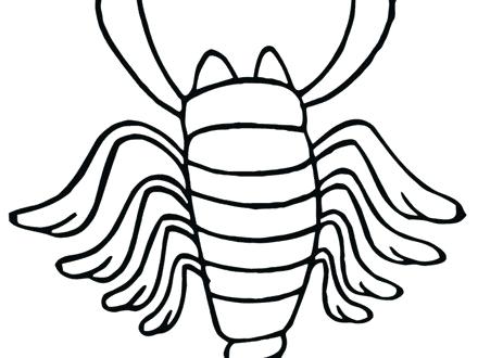 440x330 Scorpion Coloring