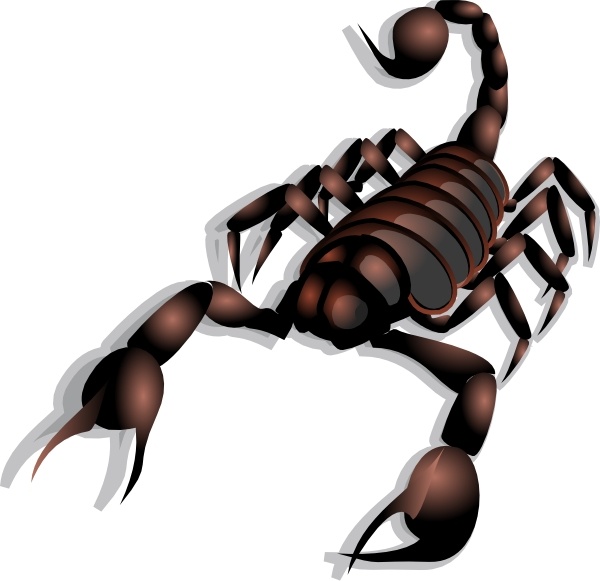 600x581 Scorpion Clip Art Free Vector In Open Office Drawing
