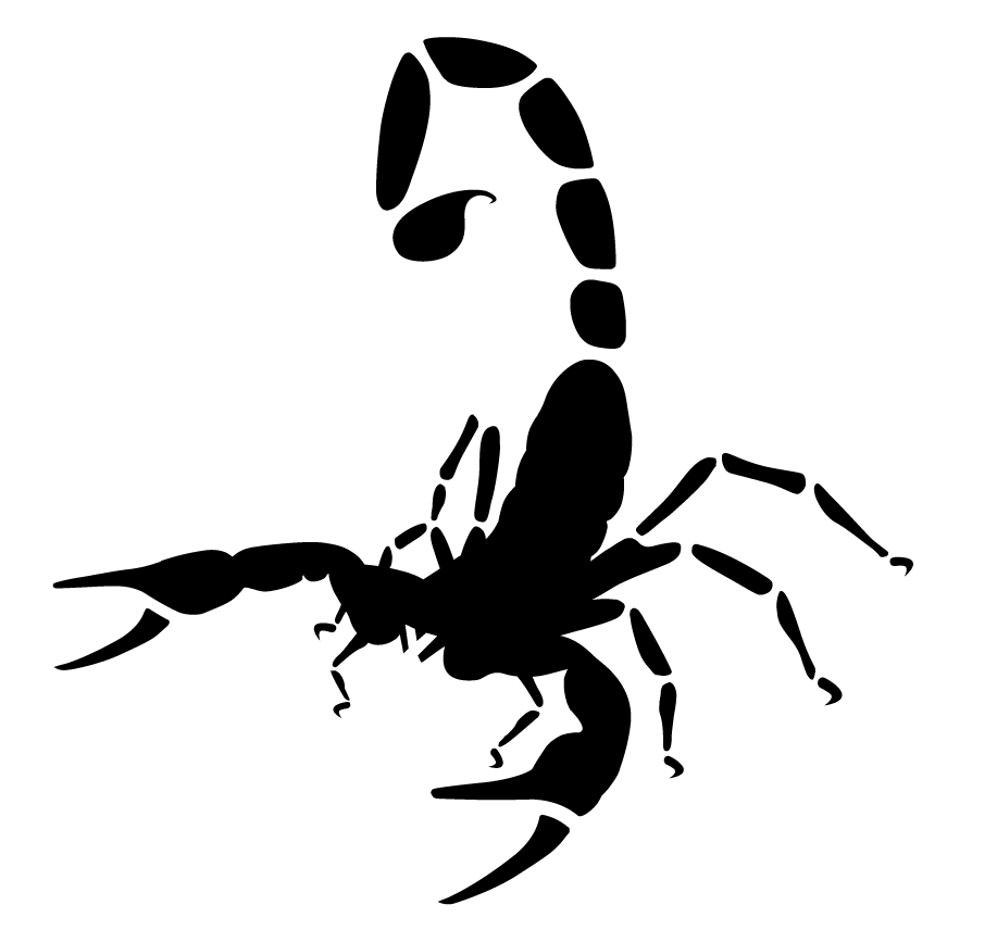 917x856 Drawing Scorpions Emperor Scorpion Transparent Png Clipart Free