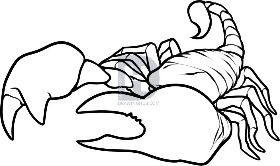 983x584 How To Draw A Green Scorpion, Step