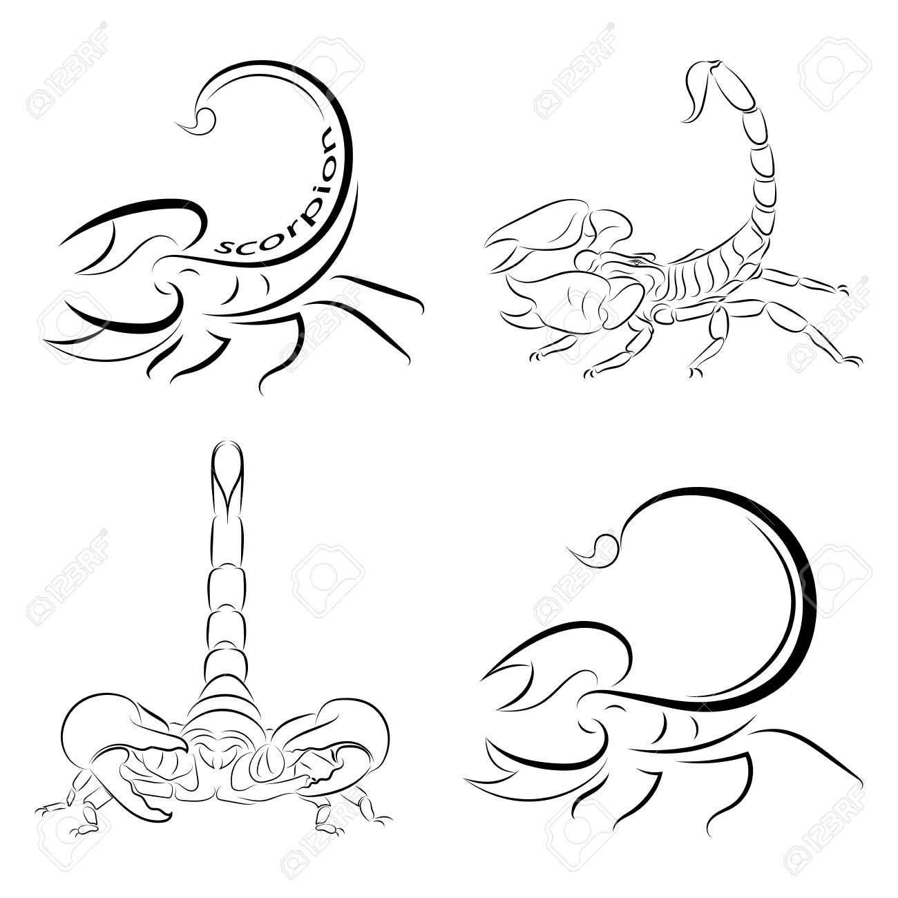 1300x1300 Huge Collection Of 'scorpion Line Drawing' Download More Than